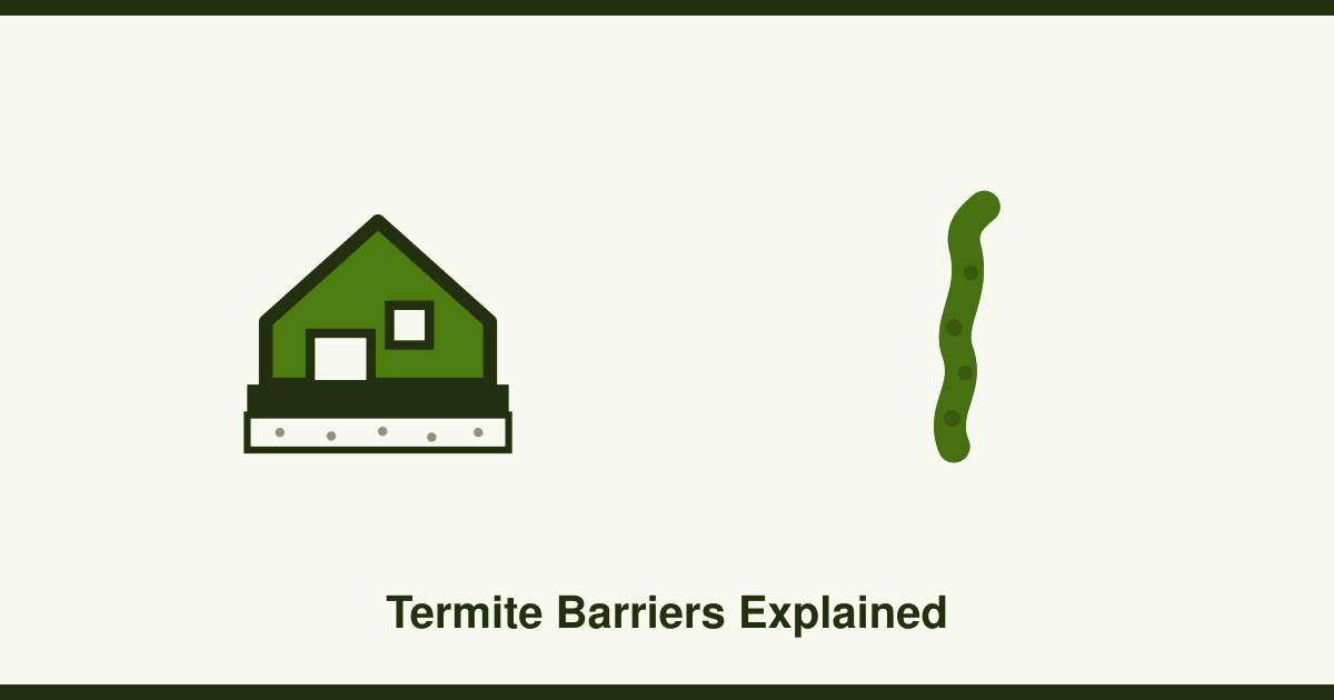 Termite management systems explained: physical vs chemical barriers