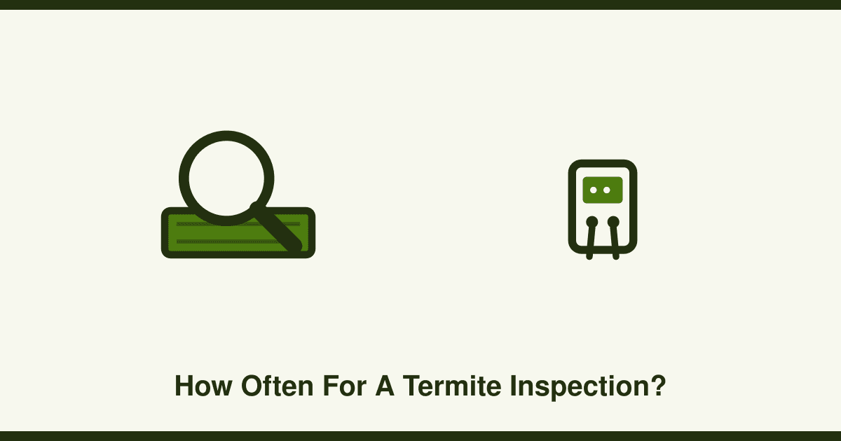 How often do you really need a termite inspection in Australia?