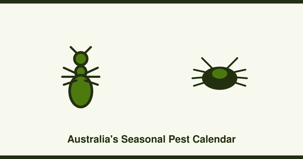 Australia's seasonal pest calendar: what to expect where you live