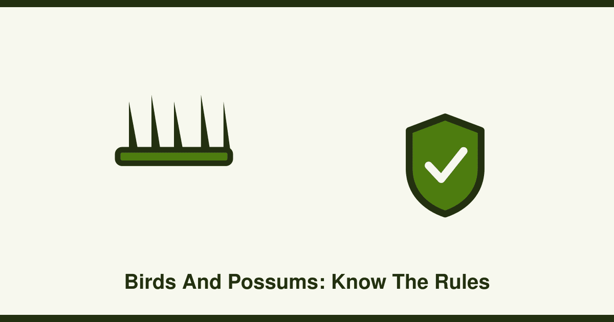 Birds and possums: what you can and can't do