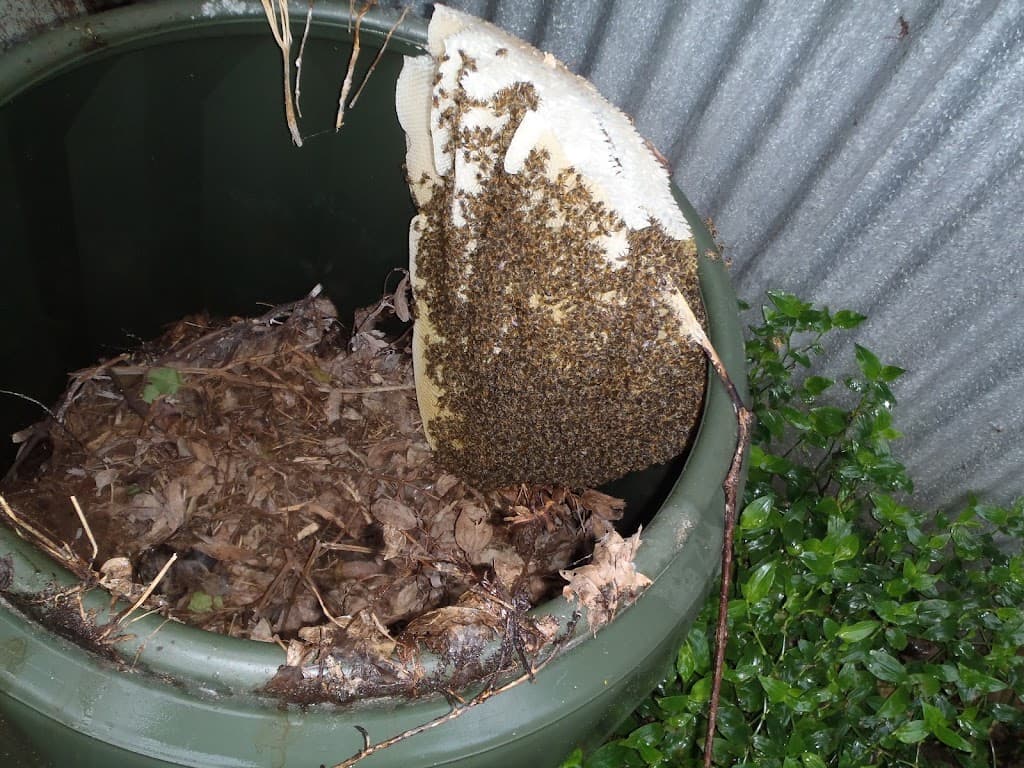 Elite Pest Control Adelaide