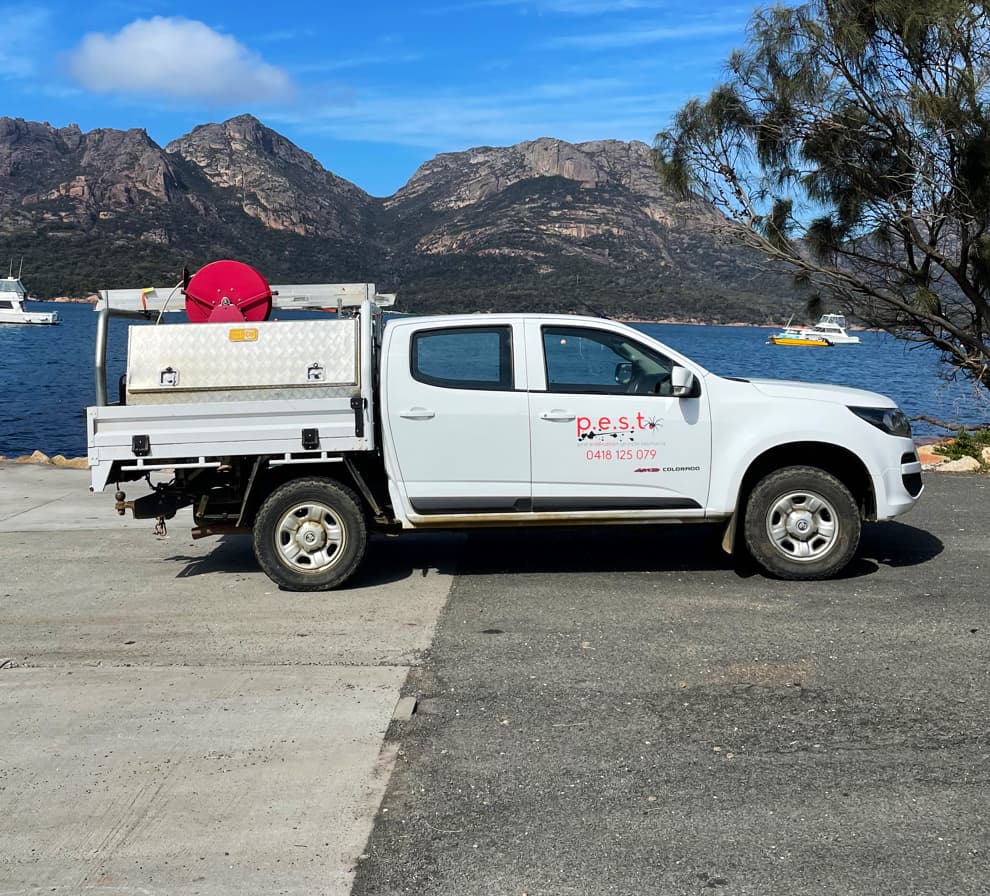 Pest Eradication Services Tasmania