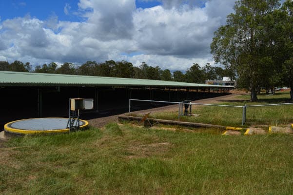 Bird Proofing Australia