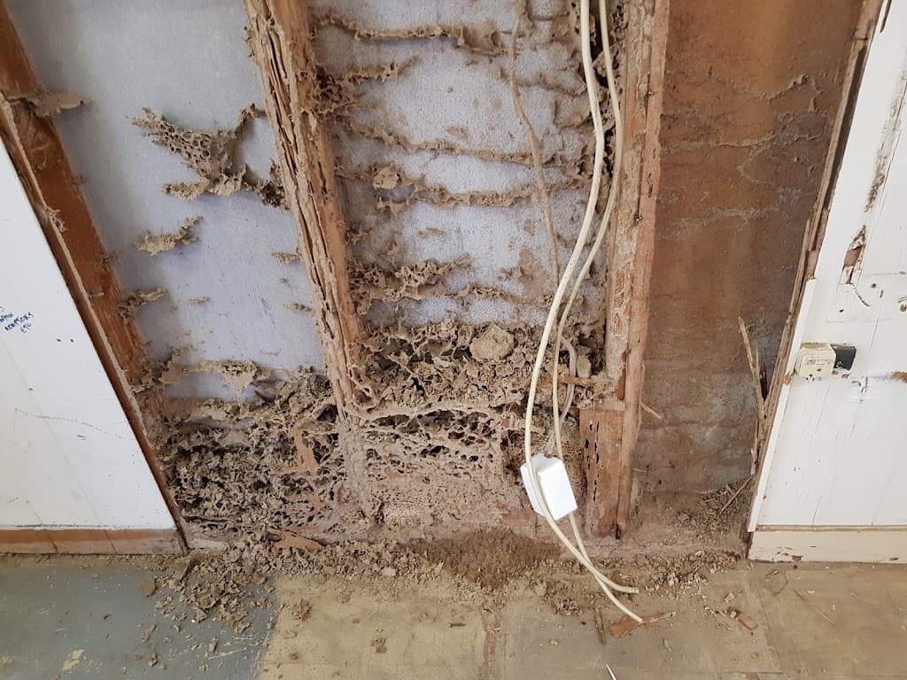 EPM Pest & Termite Control Brisbane