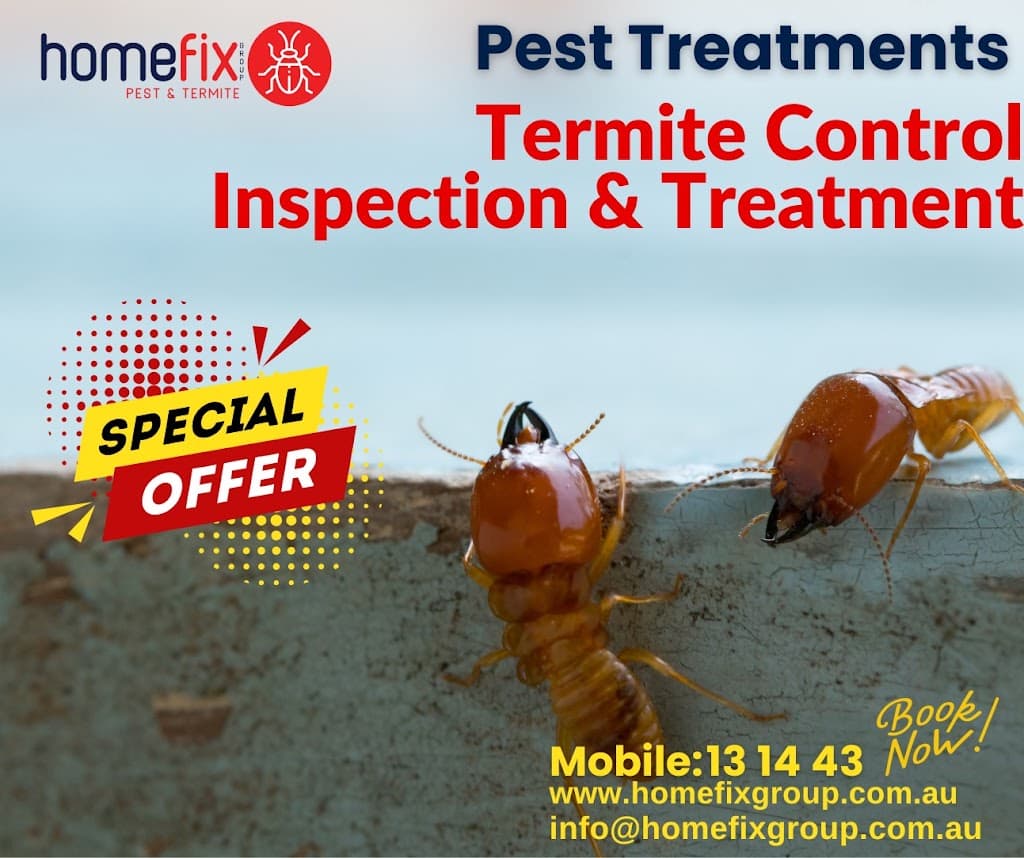 Pest Termite Control Melbourne 24/7 COMMERCIAL-BED BUGS-RODENT-POSSUM REMOVAL-WASP-SPİDER-Termite inspection- HomeFix Group