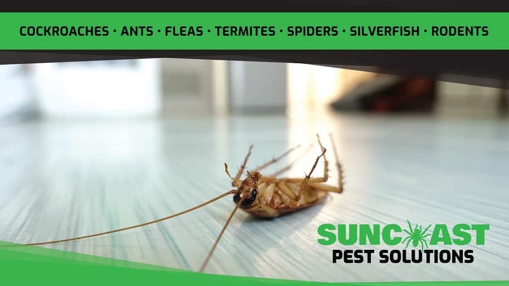 Suncoast Pest Solutions