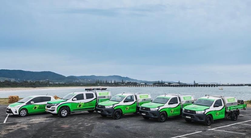 All Pest Solutions Mid North Coast