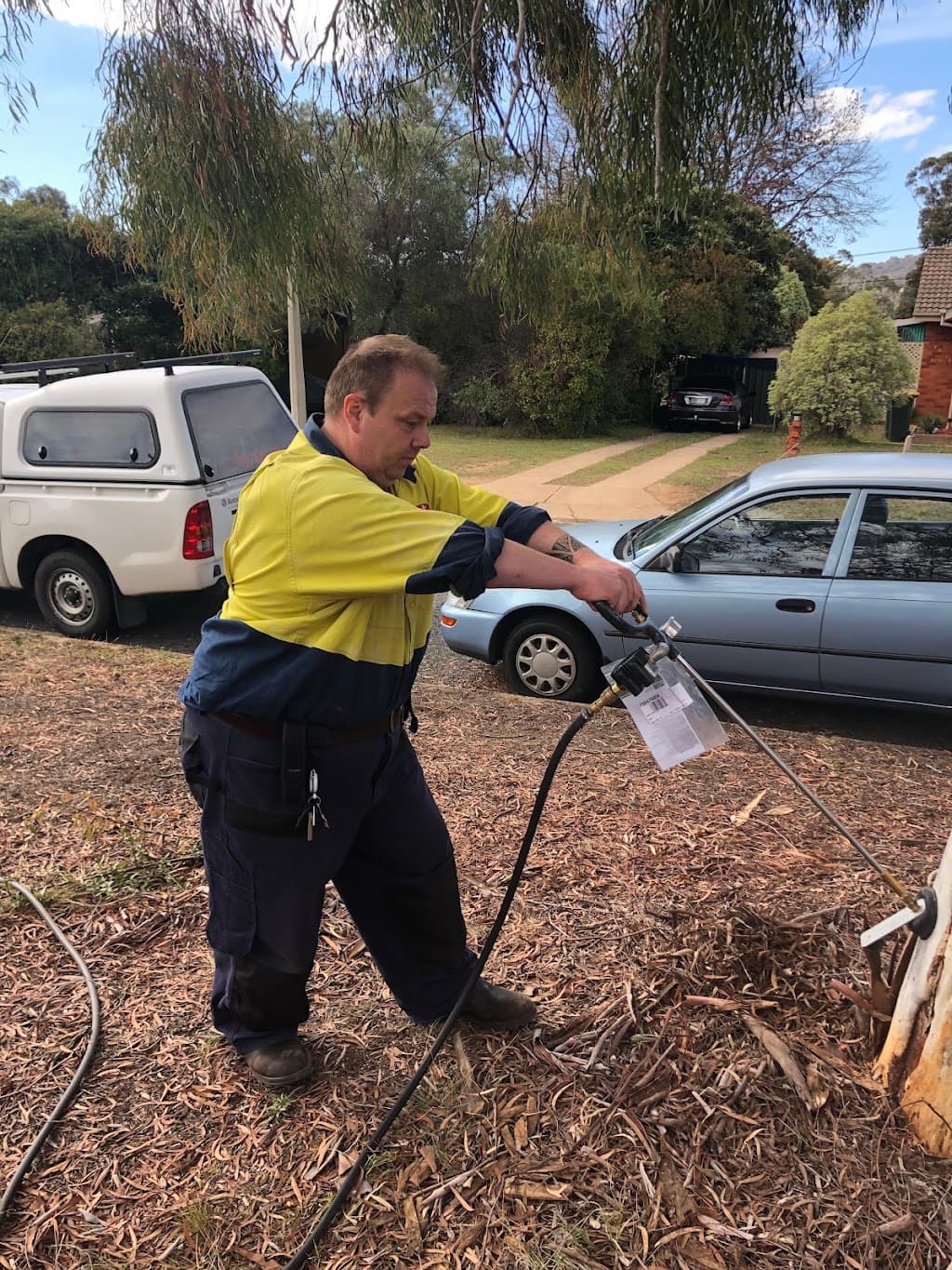 City Pest Control Services Canberra