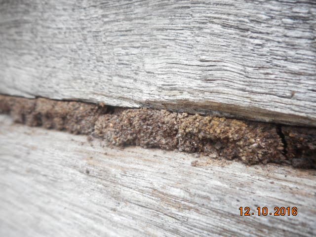 Building and Pest Inspectors Adelaide