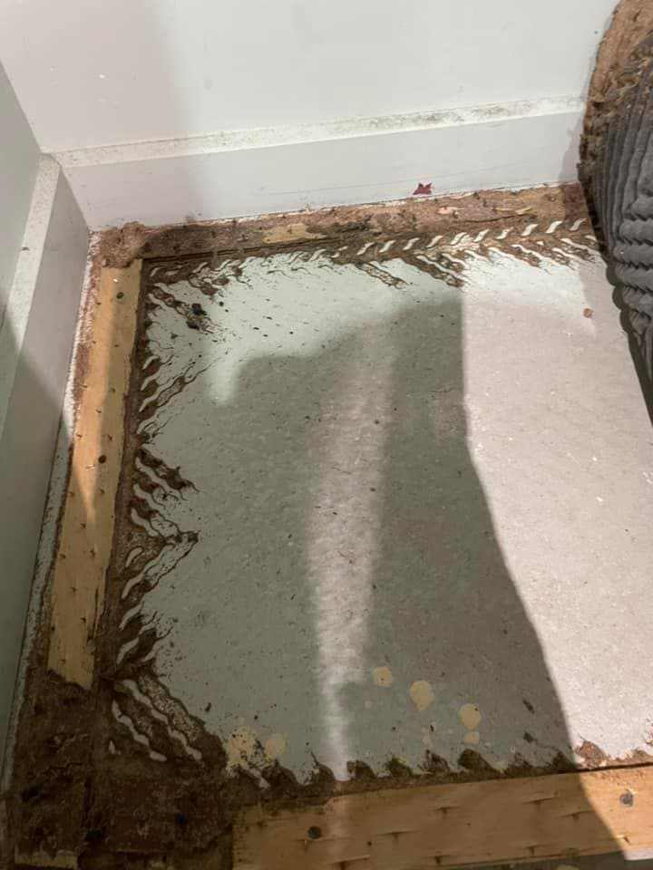 Premium Pest and Termites Hervey Bay