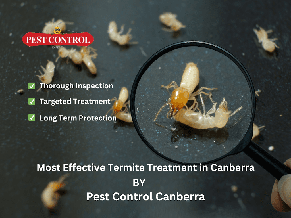 Pest Control Canberra