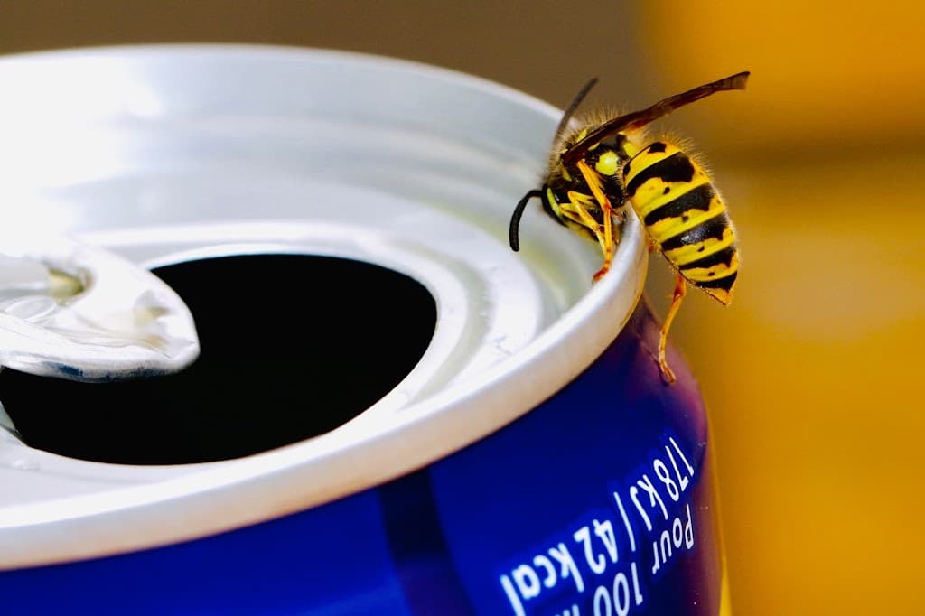 Canberra Pest Control