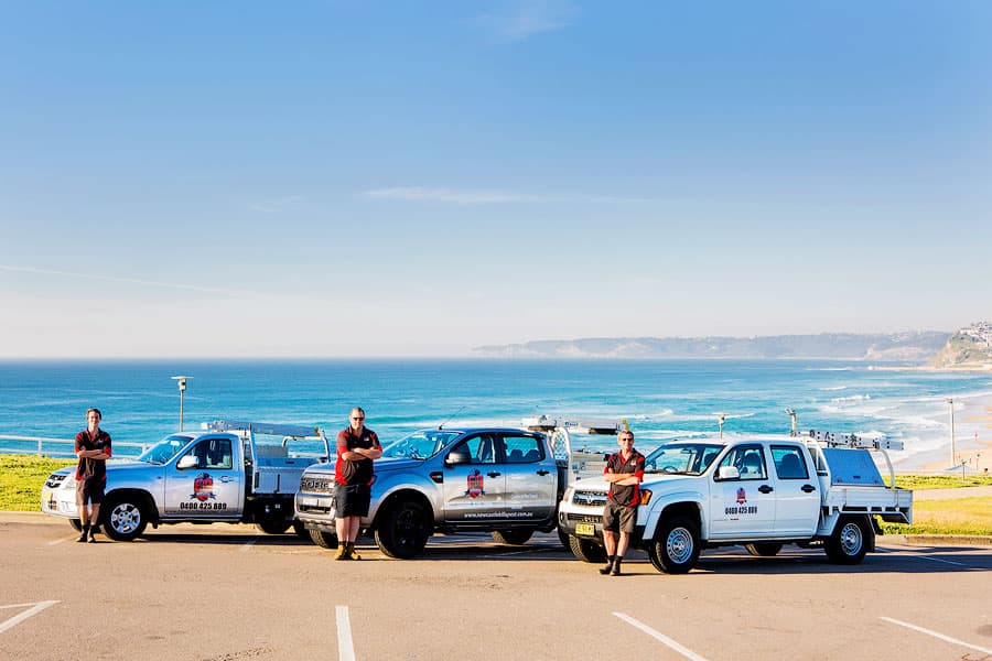 Newcastle Kill A Pest - Pest Control & Termite Inspection Reports