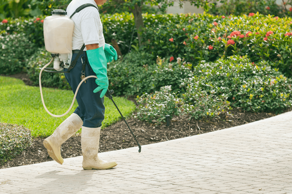 Quality One Pest Control Canberra