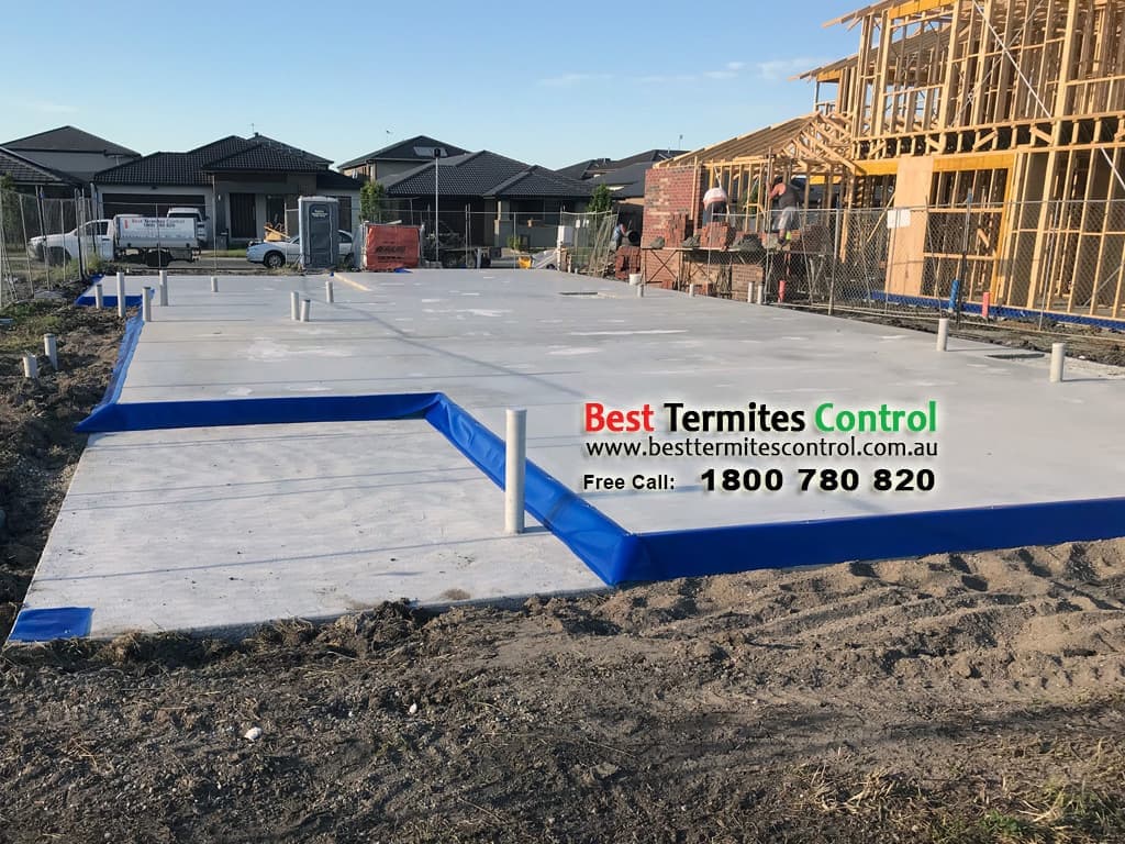 Best Termites Control