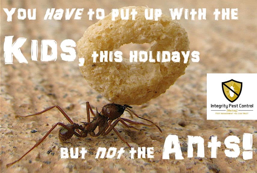 Integrity Pest Control Mackay