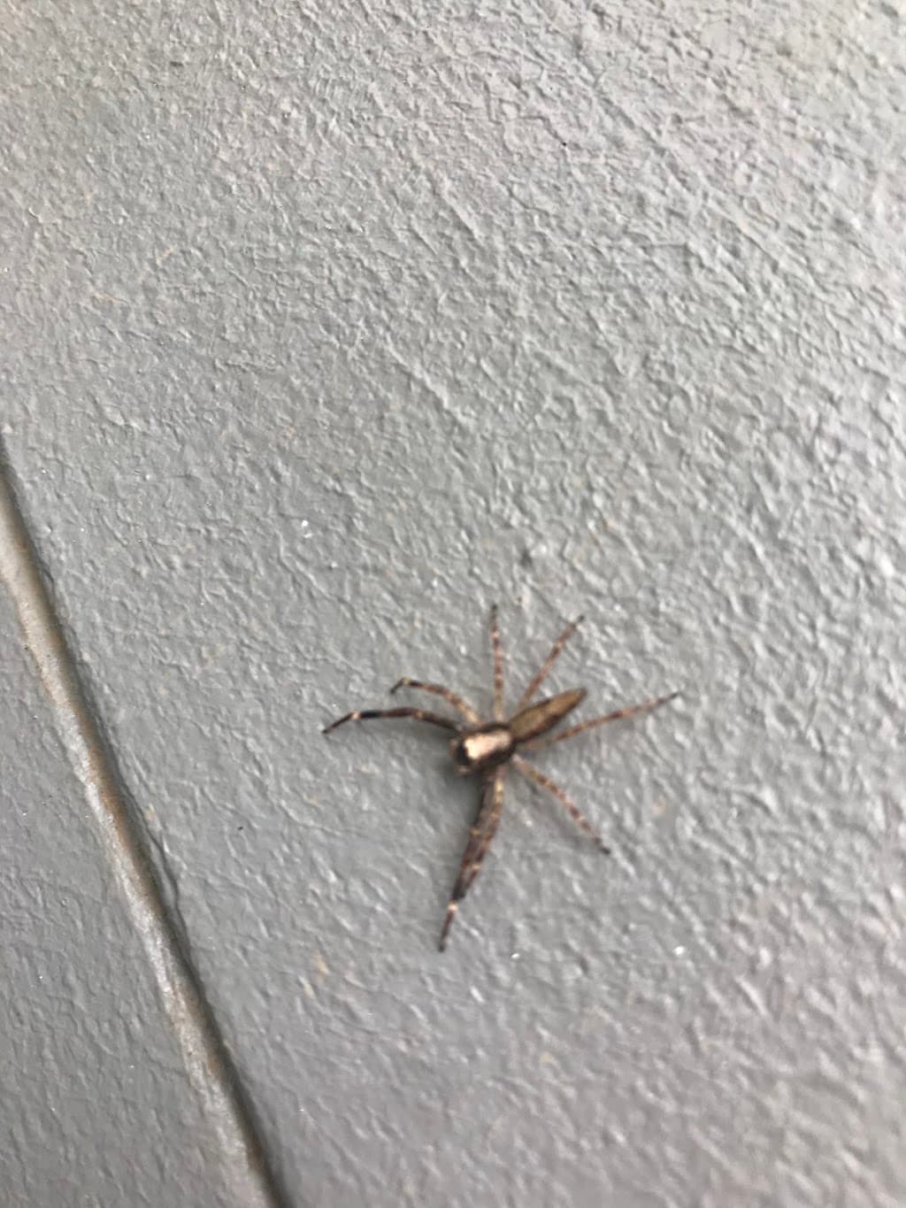 Fleet Pest Control