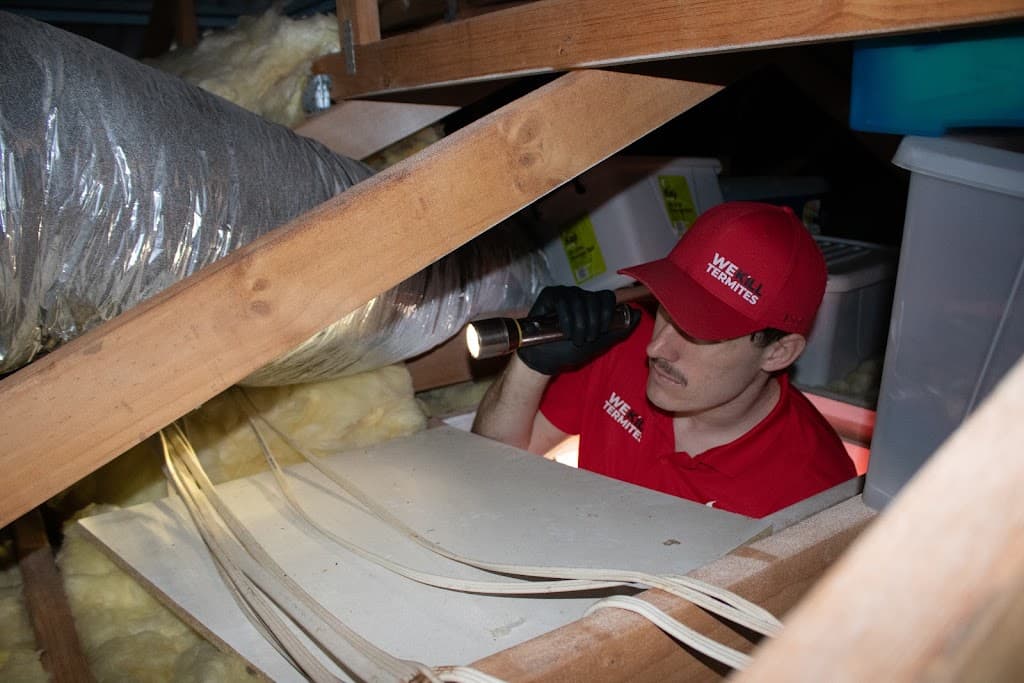 We Kill Termites Brisbane