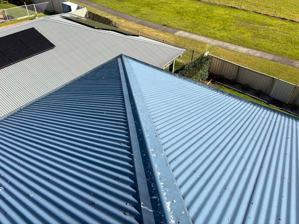 Affordable Pest Control Wollongong