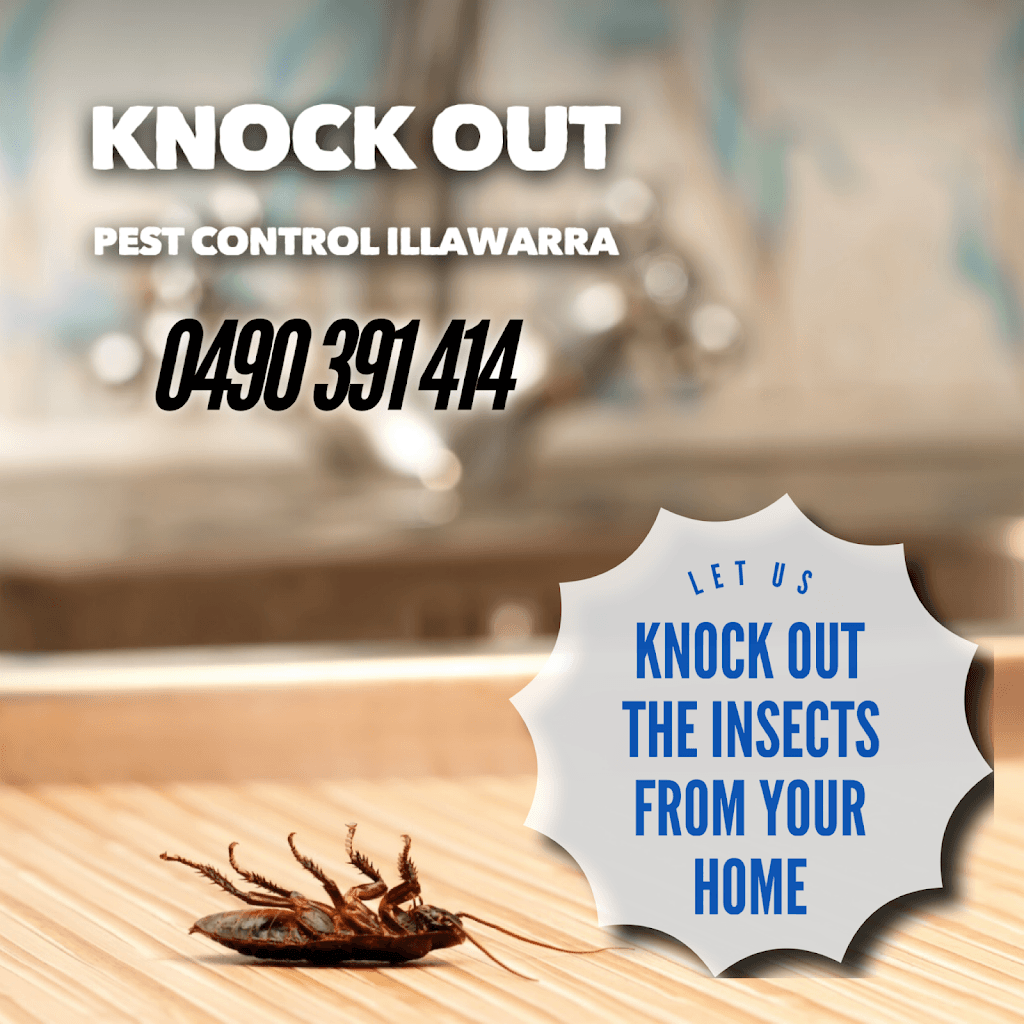 Knock Out Pest & Termite Control Illawarra Wollongong