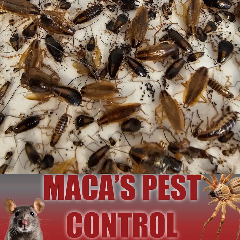 Maca's Pest Control