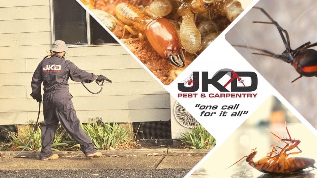 JKD Pest & Carpentry