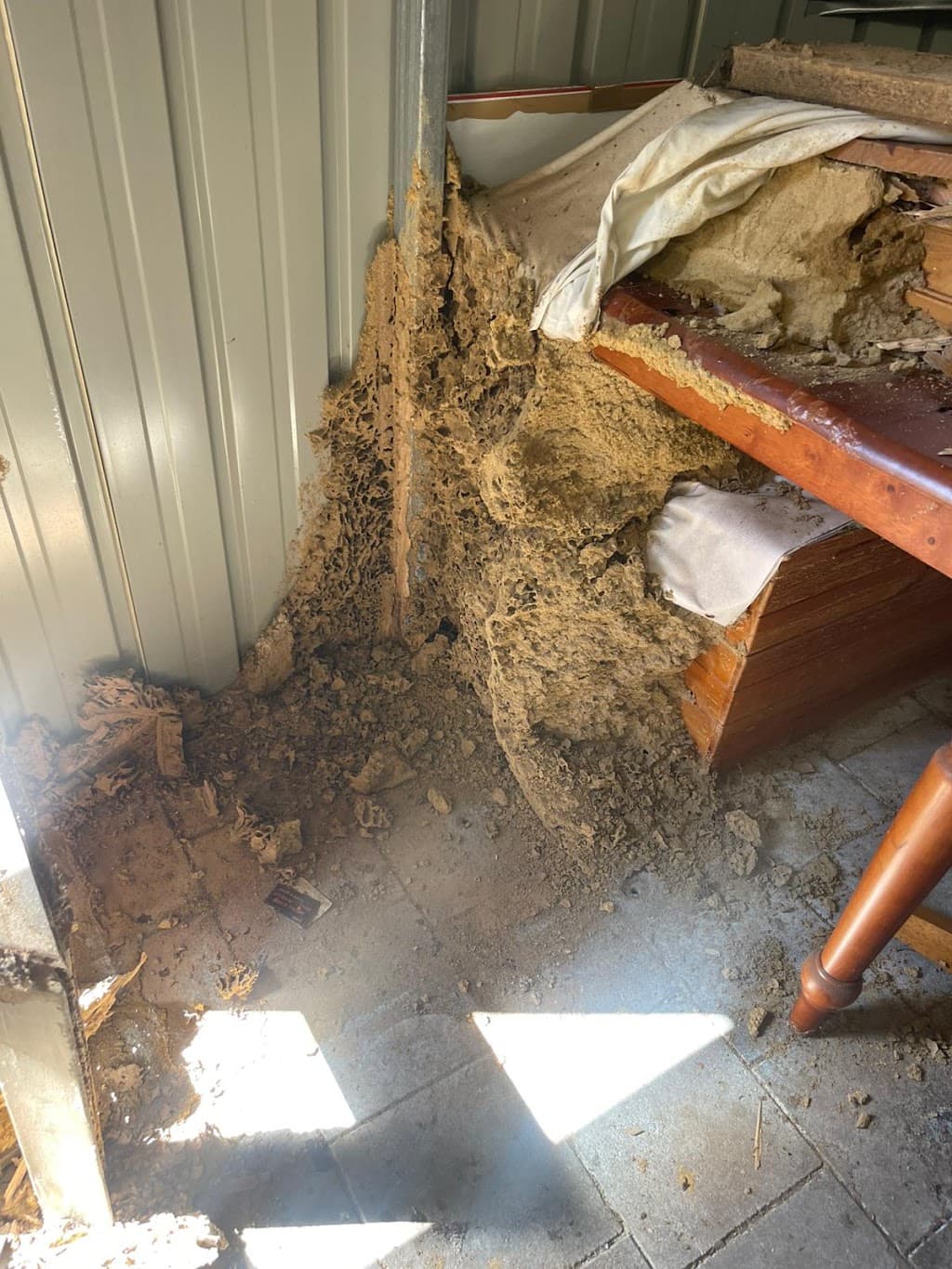 KM Pest Control Perth – Pest Exterminator & Removal