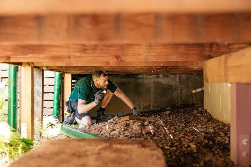 Safeguard Pest Control