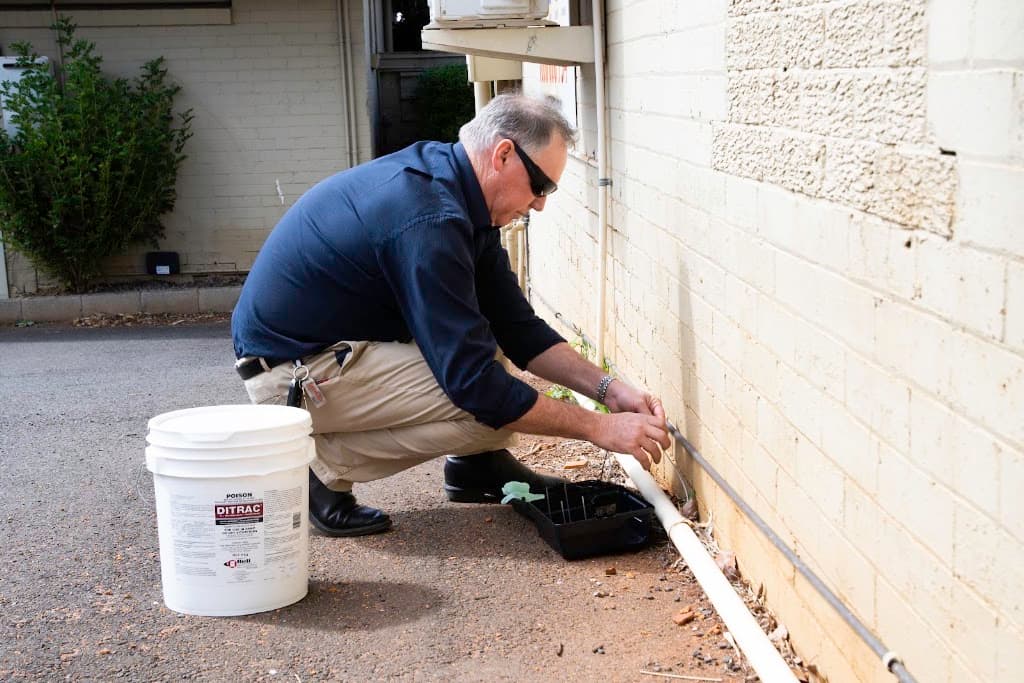 CDI Pest Management - Toowoomba