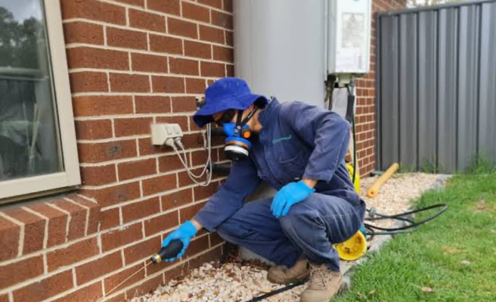 TermiteFree pest control