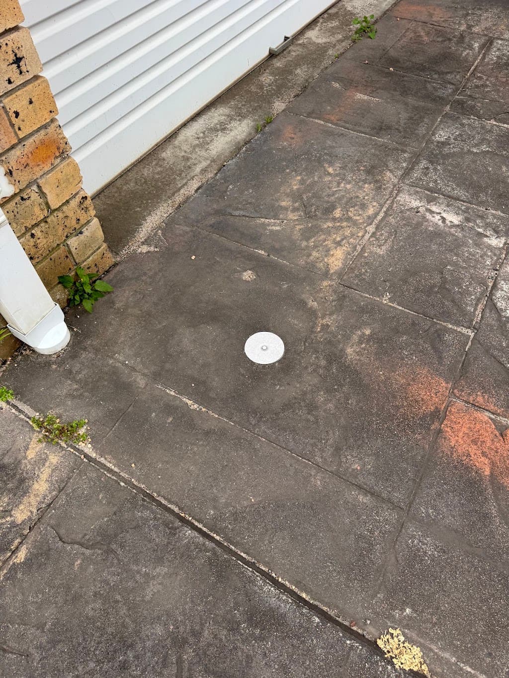 Trusted Pest & Termite Control Wollongong
