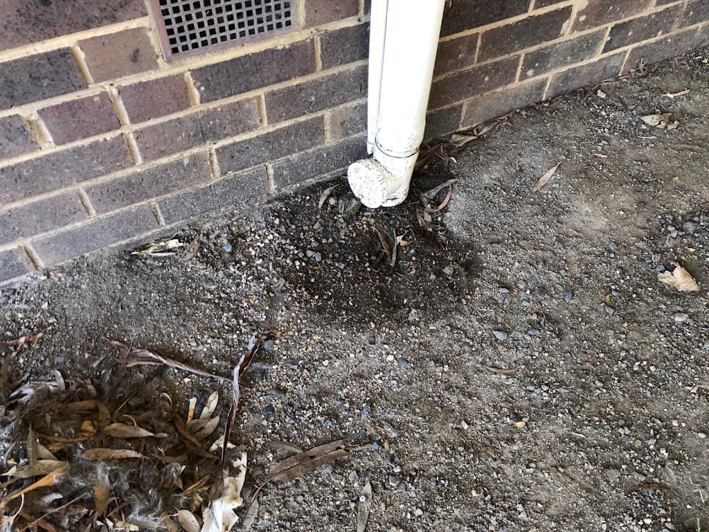 Wyndham Pest Control