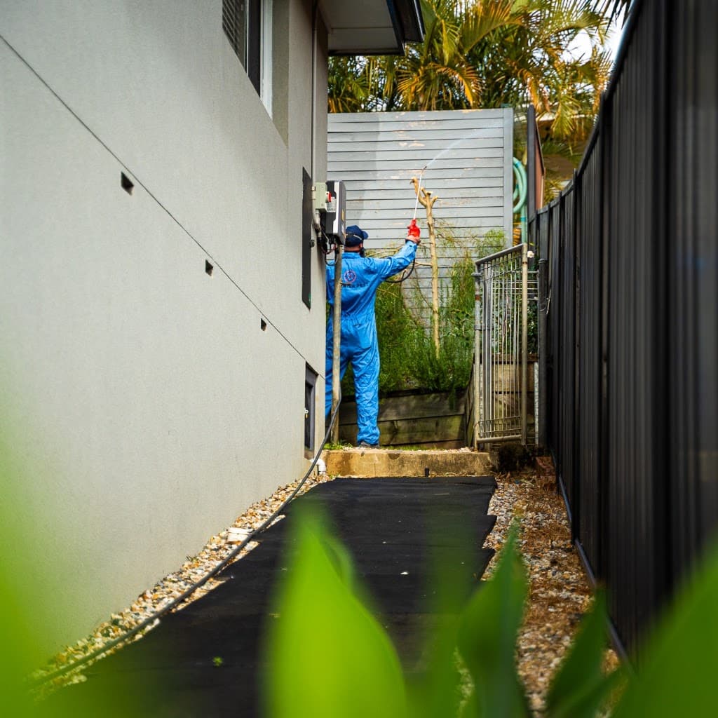 Premier Pest Control Wollongong