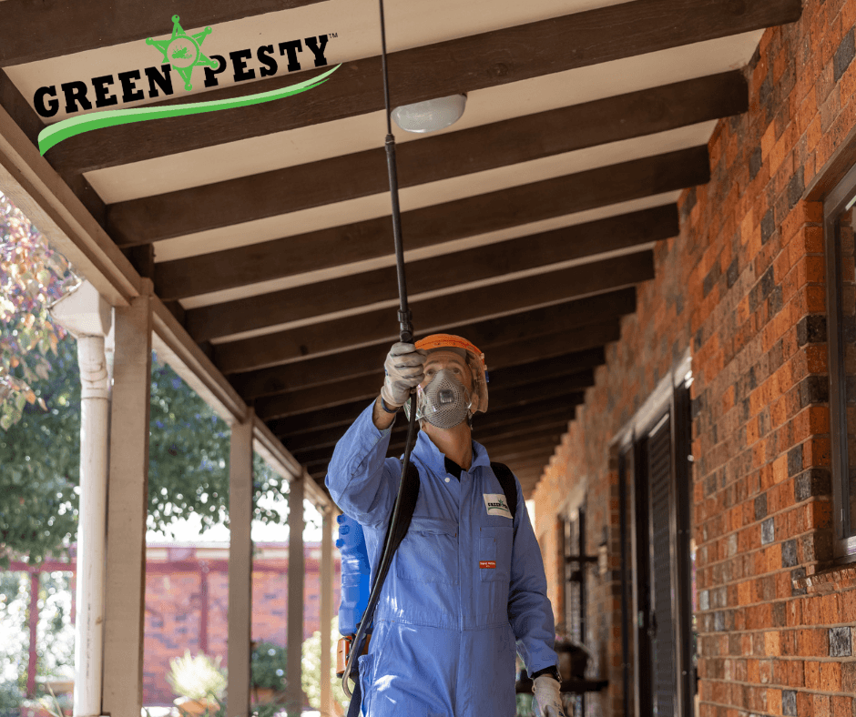 Green Pesty | Bendigo