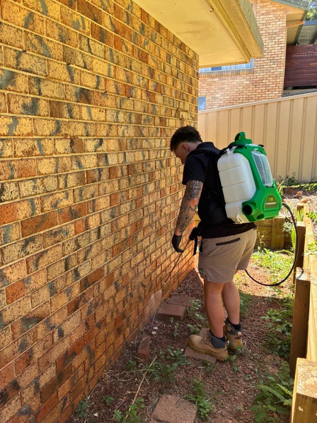Port Pest Services