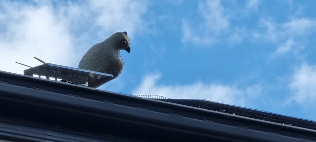 Tip Top Services pest control and bird control