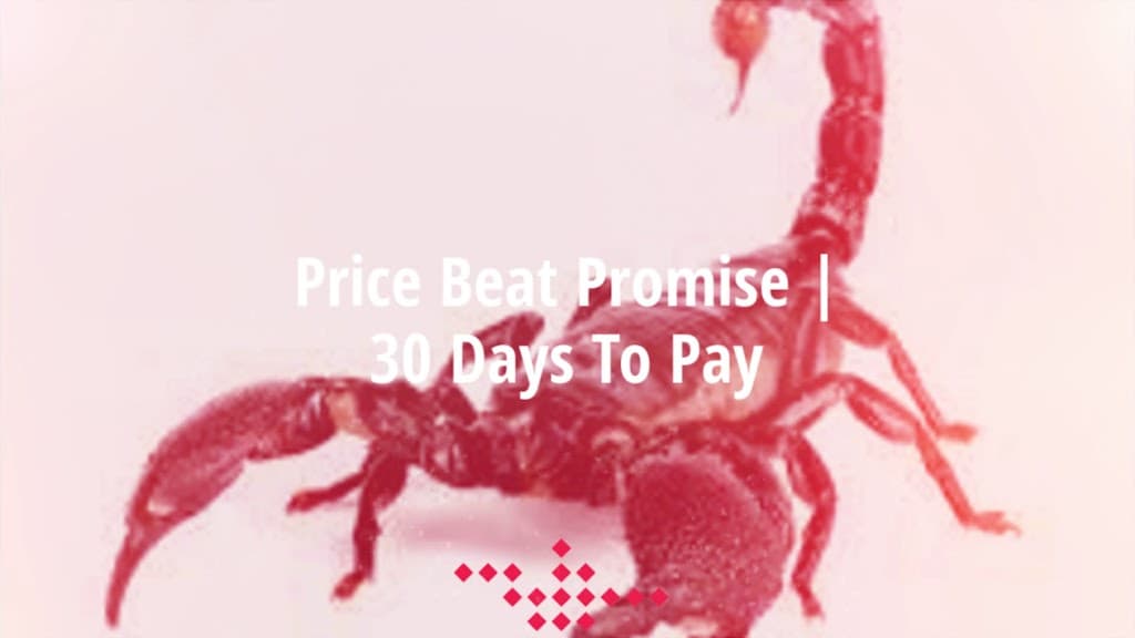 Core Pest Solutions