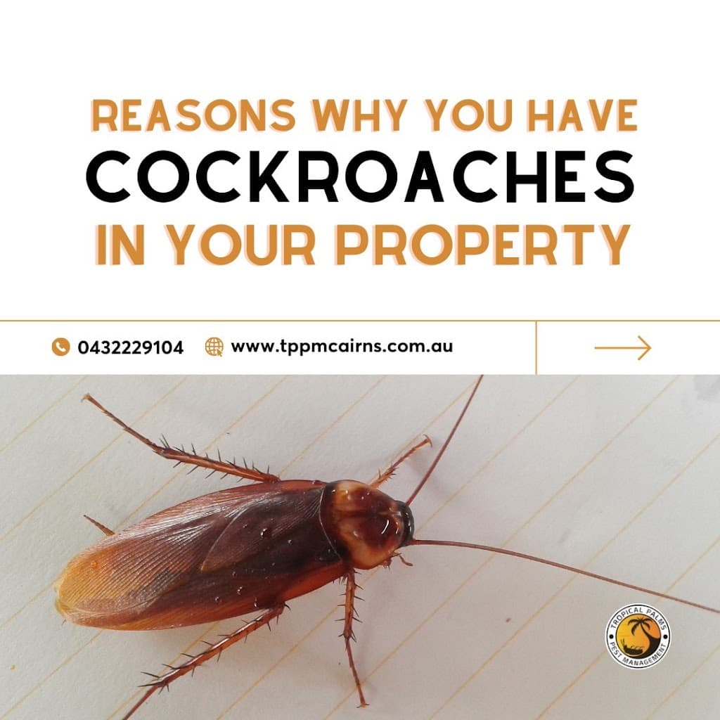 Tropical Palms Pest Management