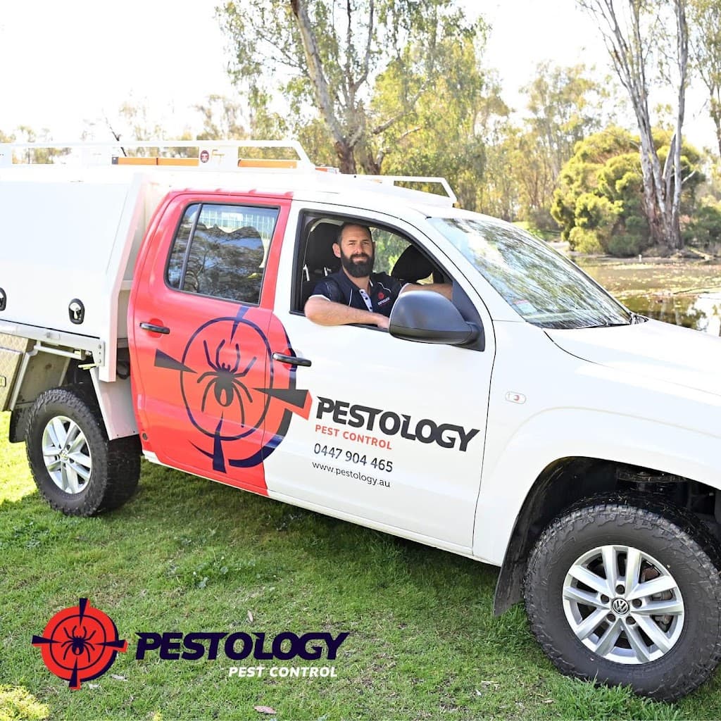Pestology Pest Control