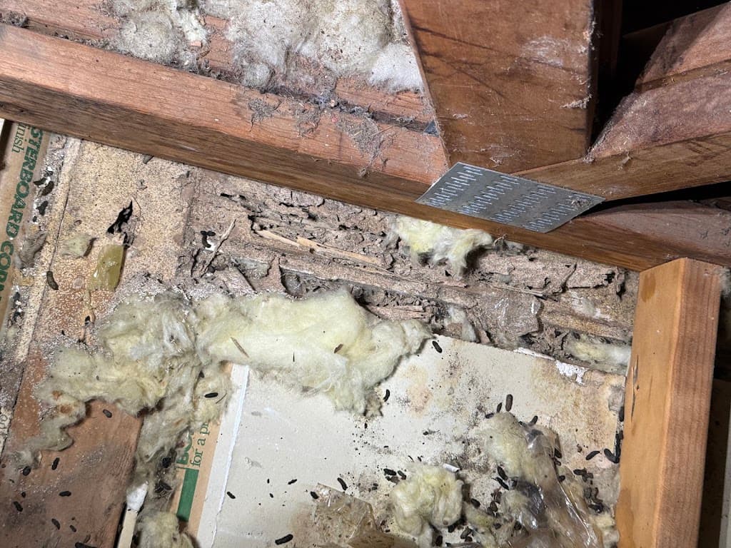 Elite Building & Pest Services