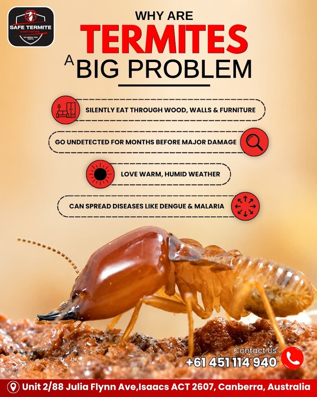 Safe Termite and Pest Control Canberra - Termite Control Canberra | End of lease Pest Control Canberra
