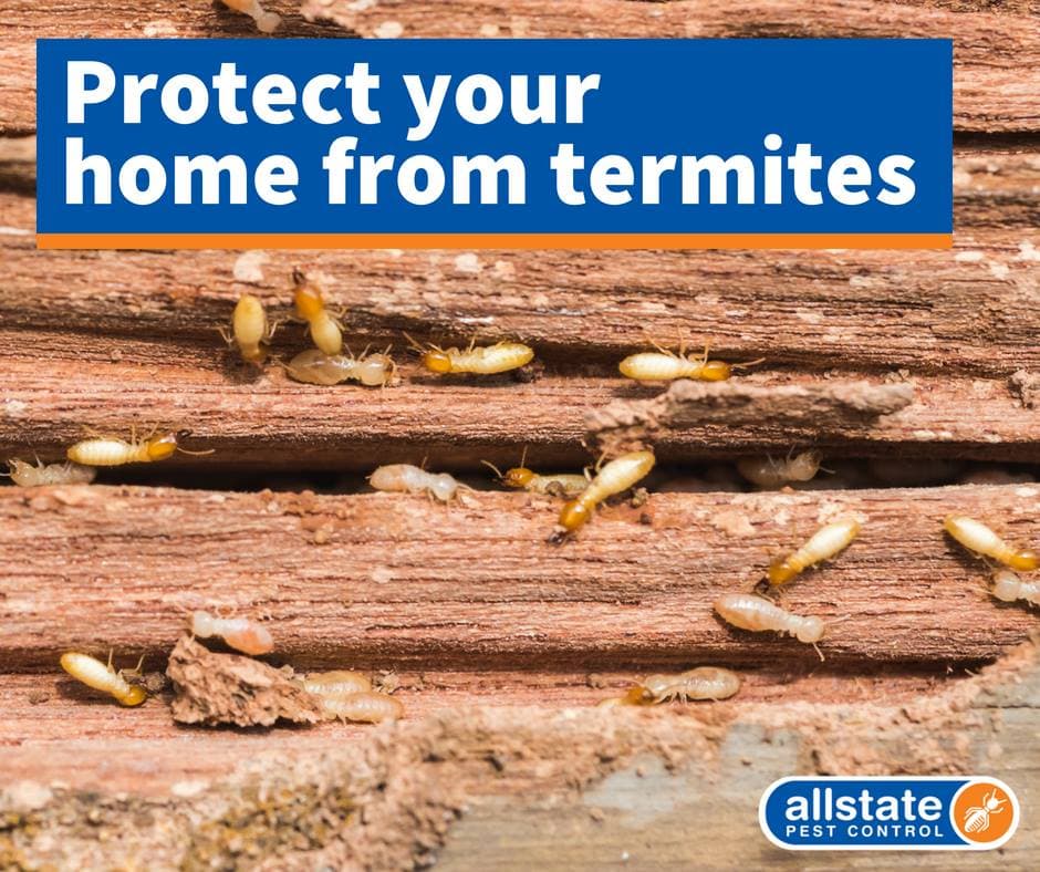 Allstate Pest Control