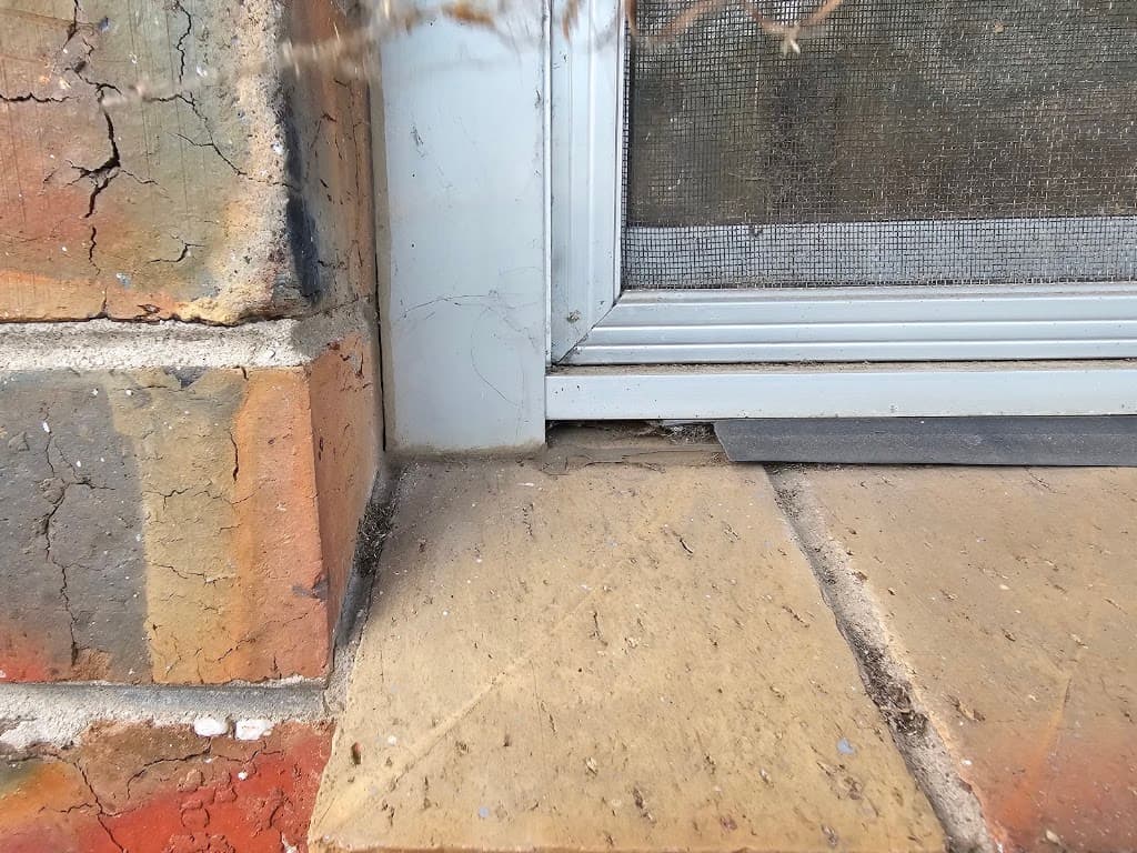 Pest Patrol Geelong