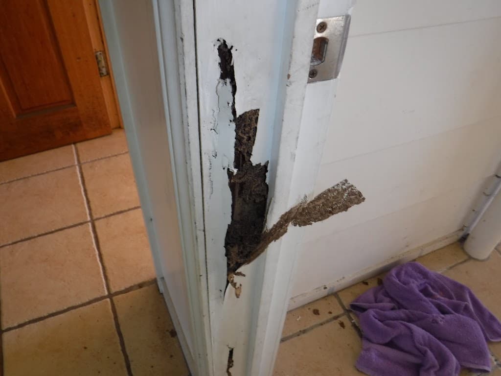 Building And Pest Inspections Gladstone