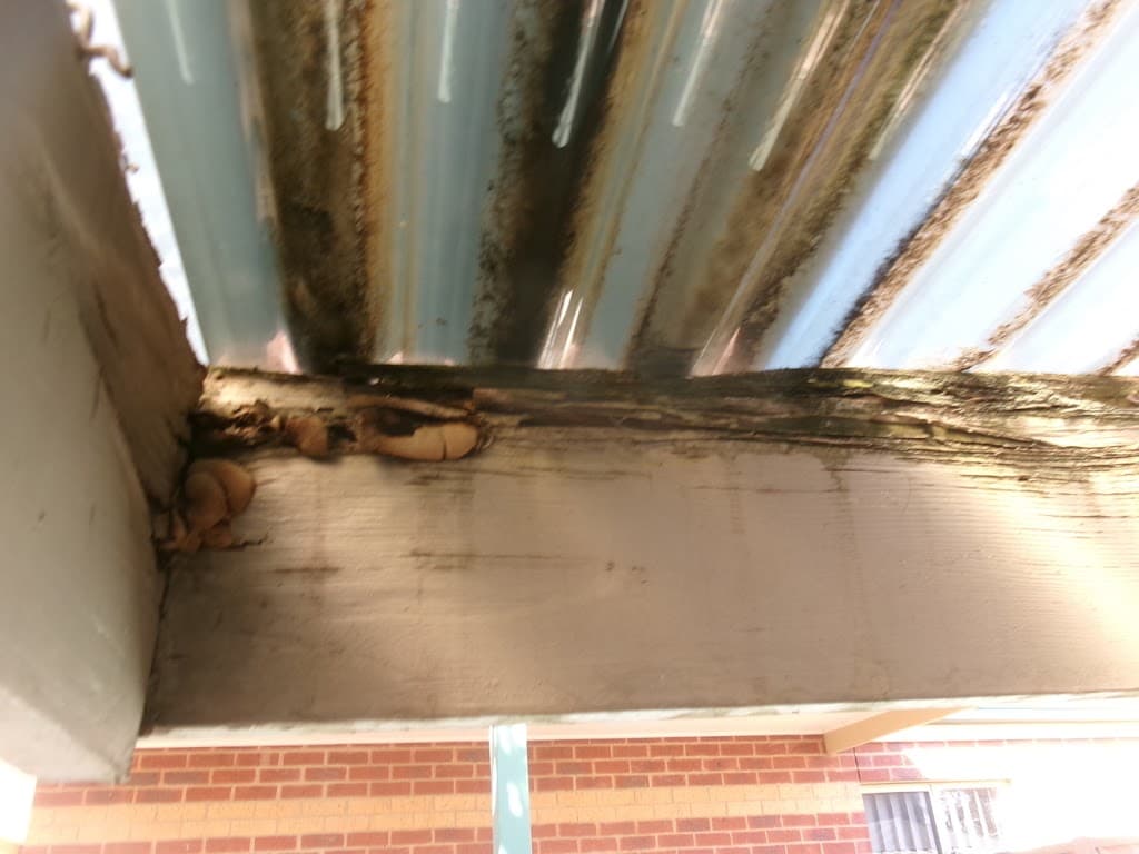 Resicert Property and Pest Inspections