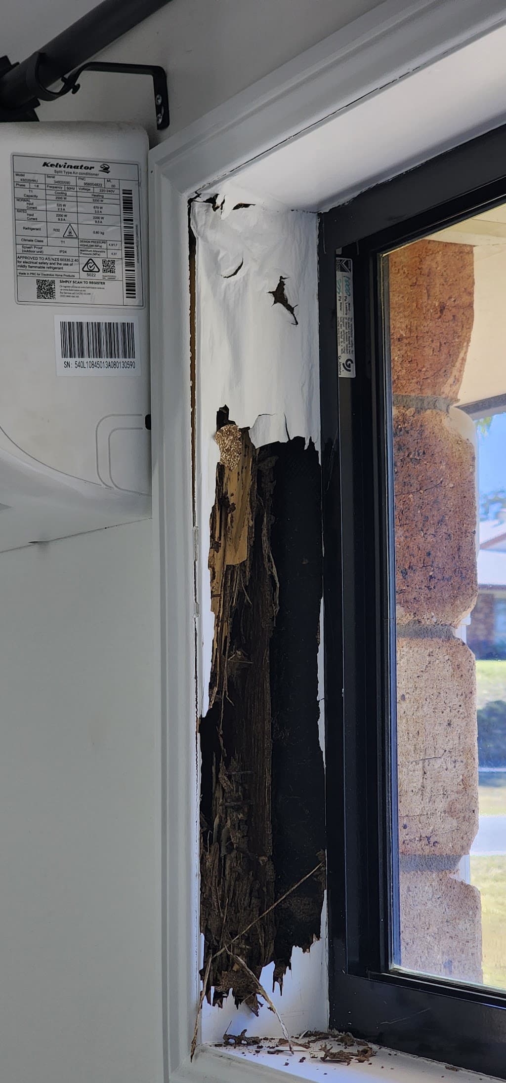 Proven Pest Solutions