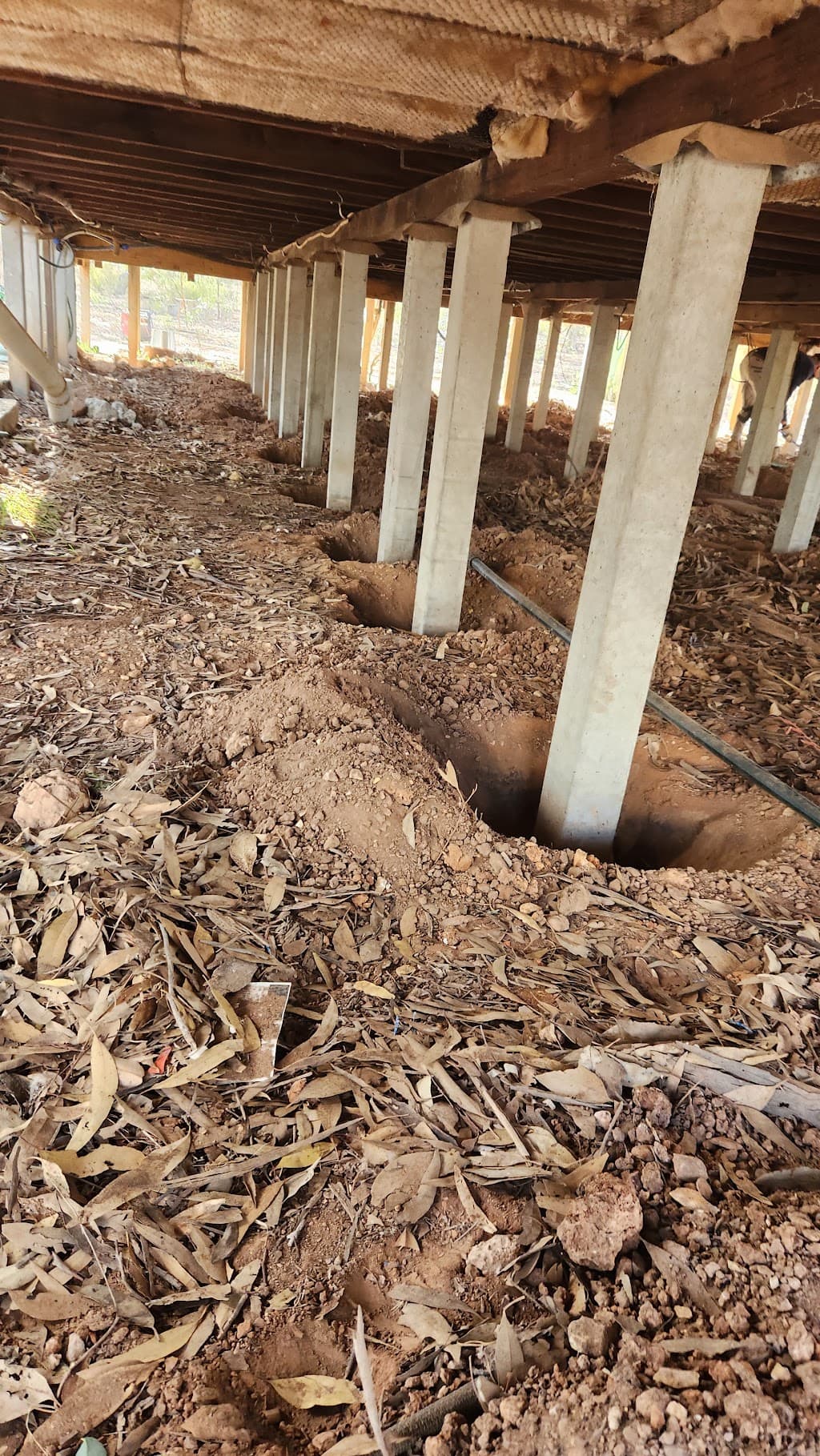 Biteless Pest Control