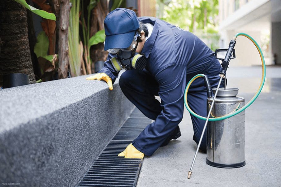 Brendon Ede Pest Management | General pest control | Pest Inspection | Termite Control - Mildura