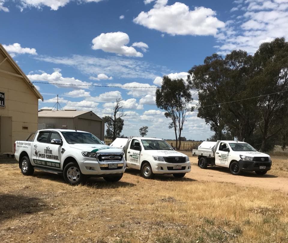 Flick Pest Control - Shepparton