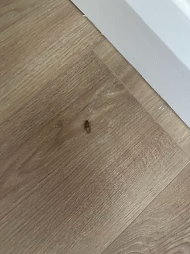 Commercial Pest Control Sydney — Customer photo